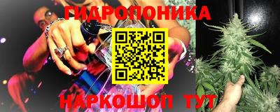 прущие грибы Балаково